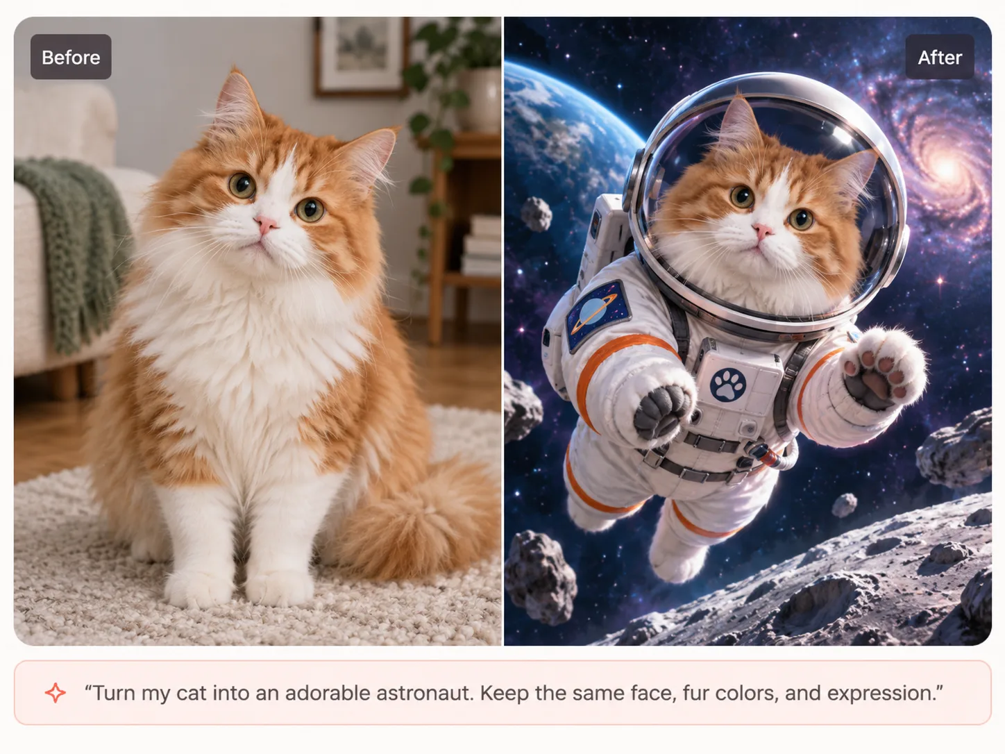 宇航服里的猫咪
